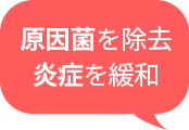 원인균 제거 염증 완화